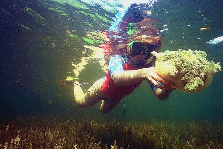 Underwater Cinematographer Documentary Carlos Vilkerman